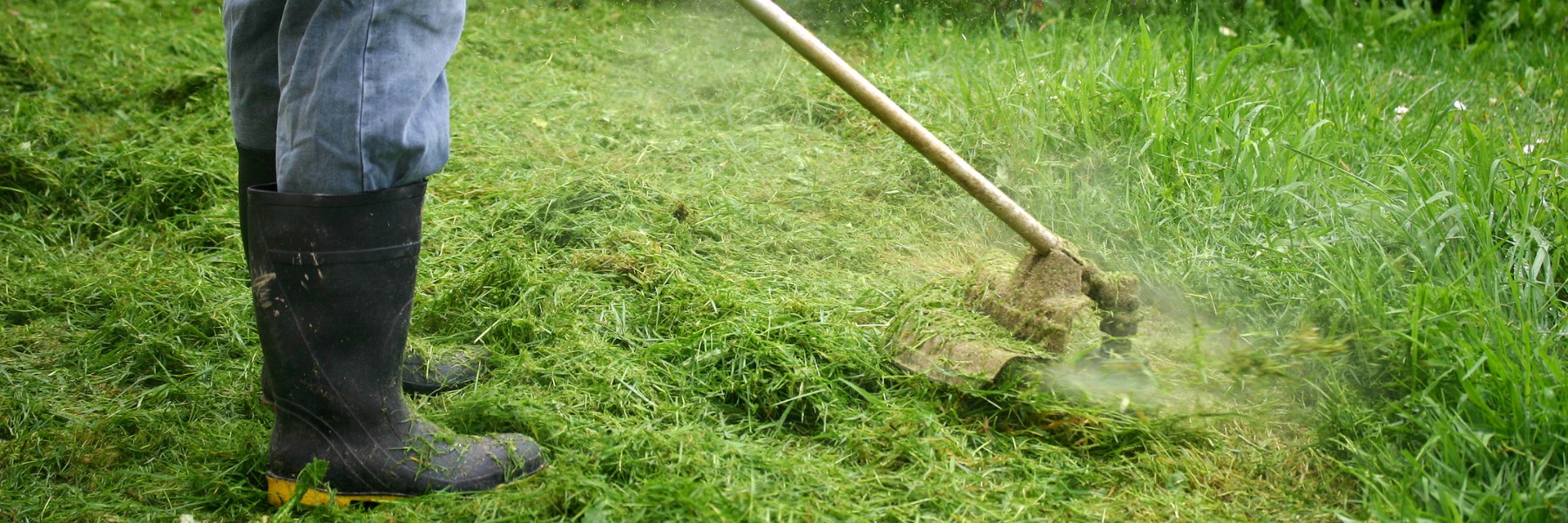 String trimmer cutting through tall overgrown grass