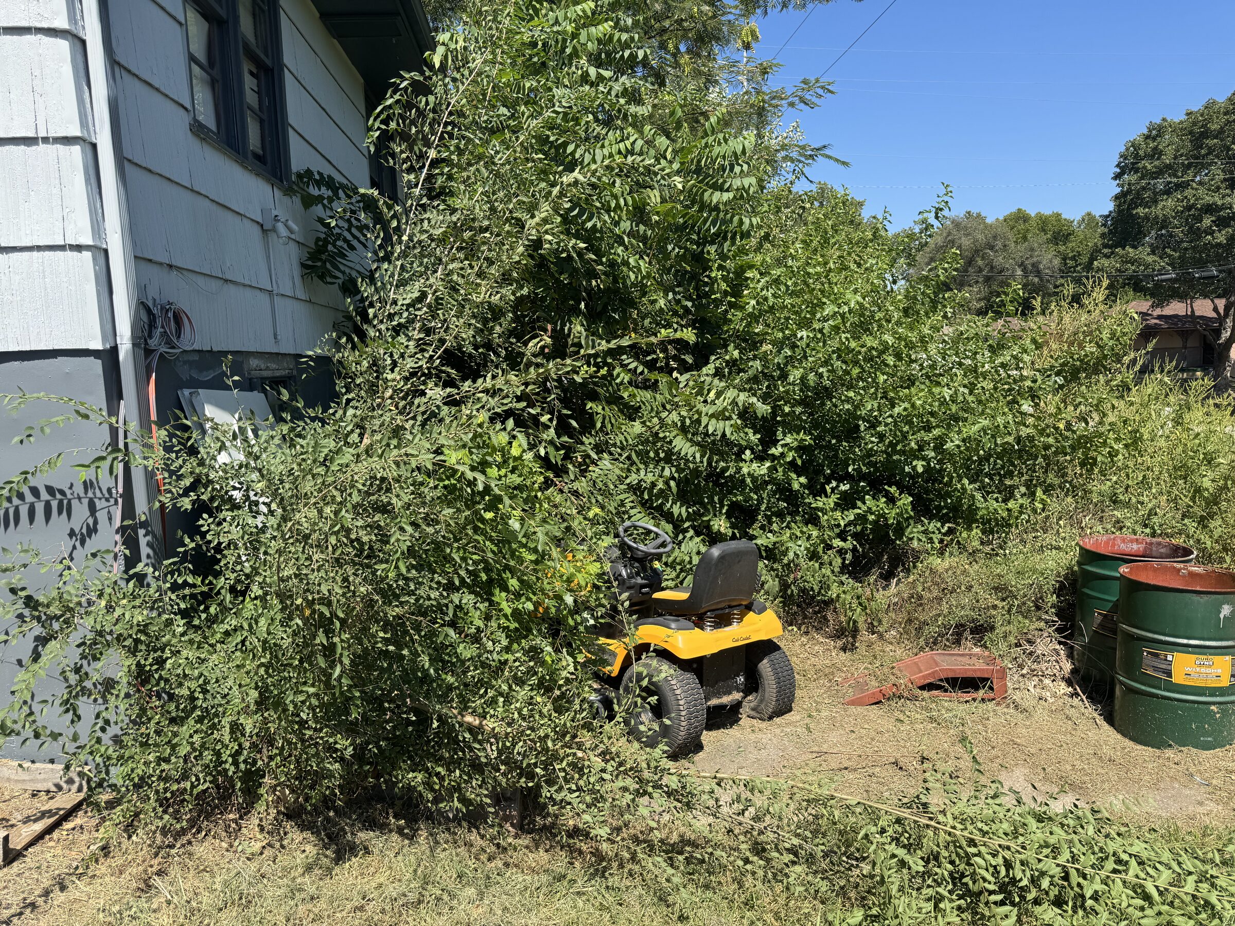Riding mower clearing tall brush and weeds beside a home