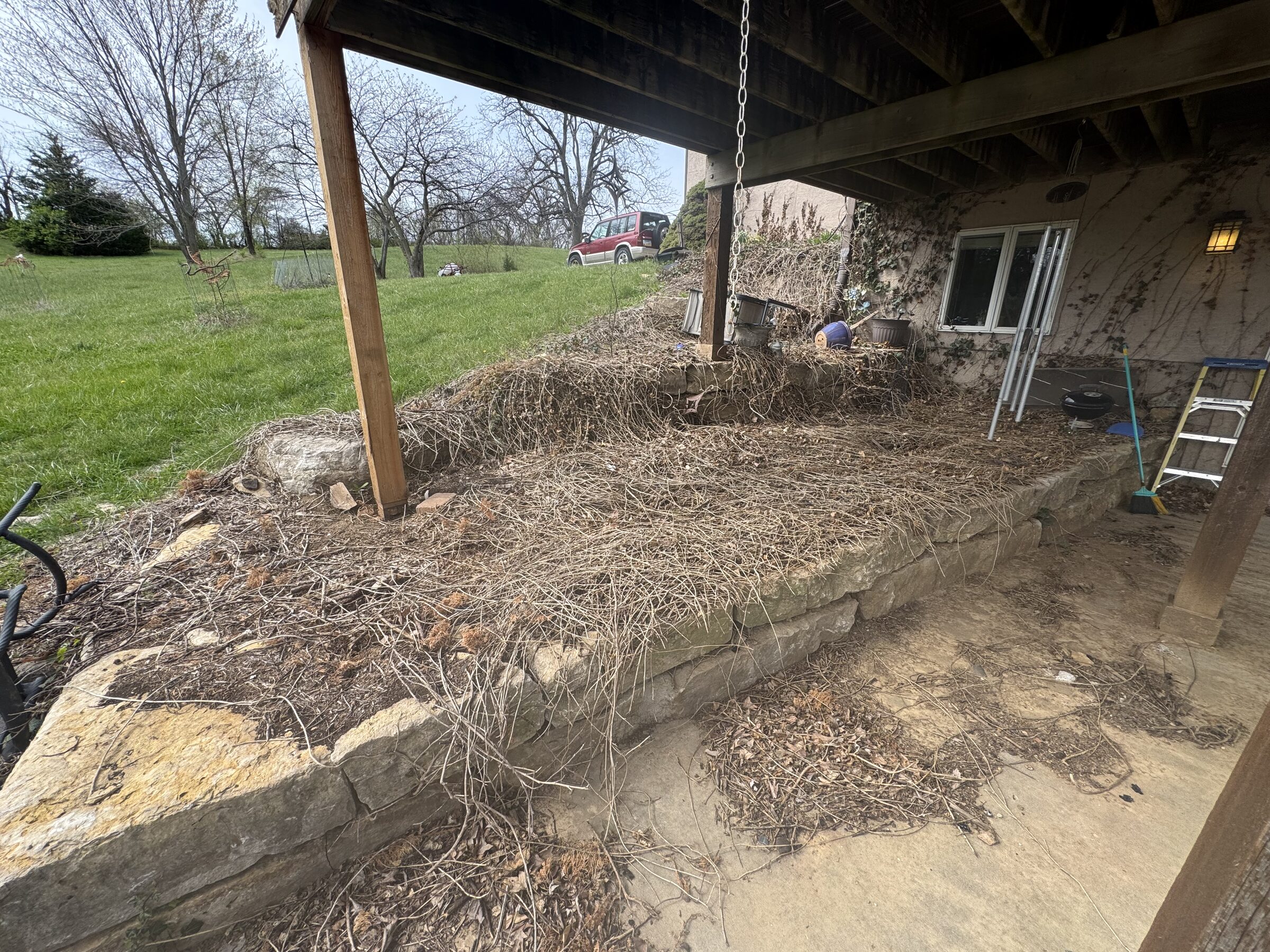 Before: stone retaining wall and patio under a deck buried in dead vines and overgrowth