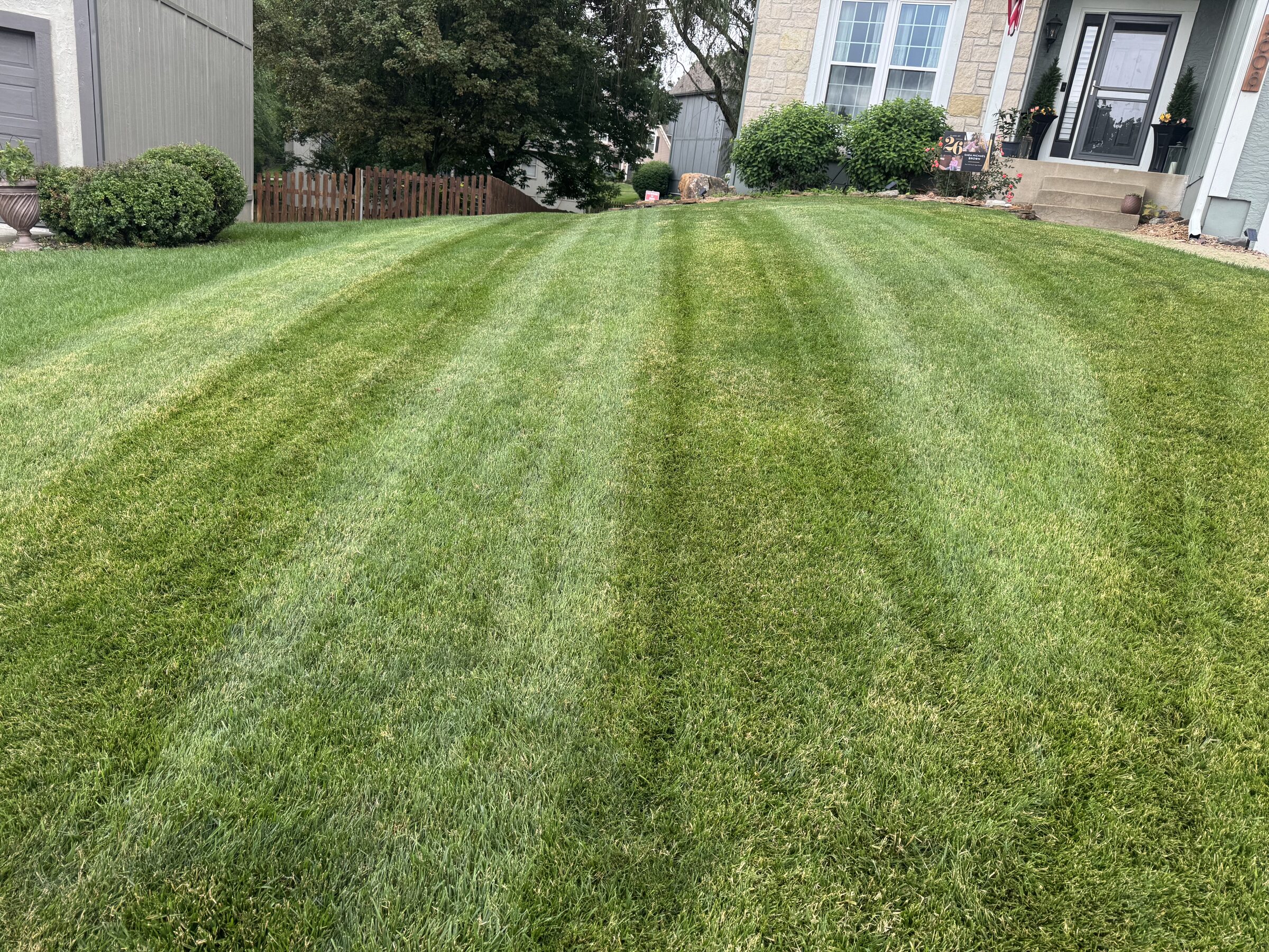 Freshly mowed front lawn with clean, even stripes on a gentle slope
